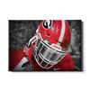 Georgia Bulldogs - Strap It Up UGA - College Wall Art #Canvas