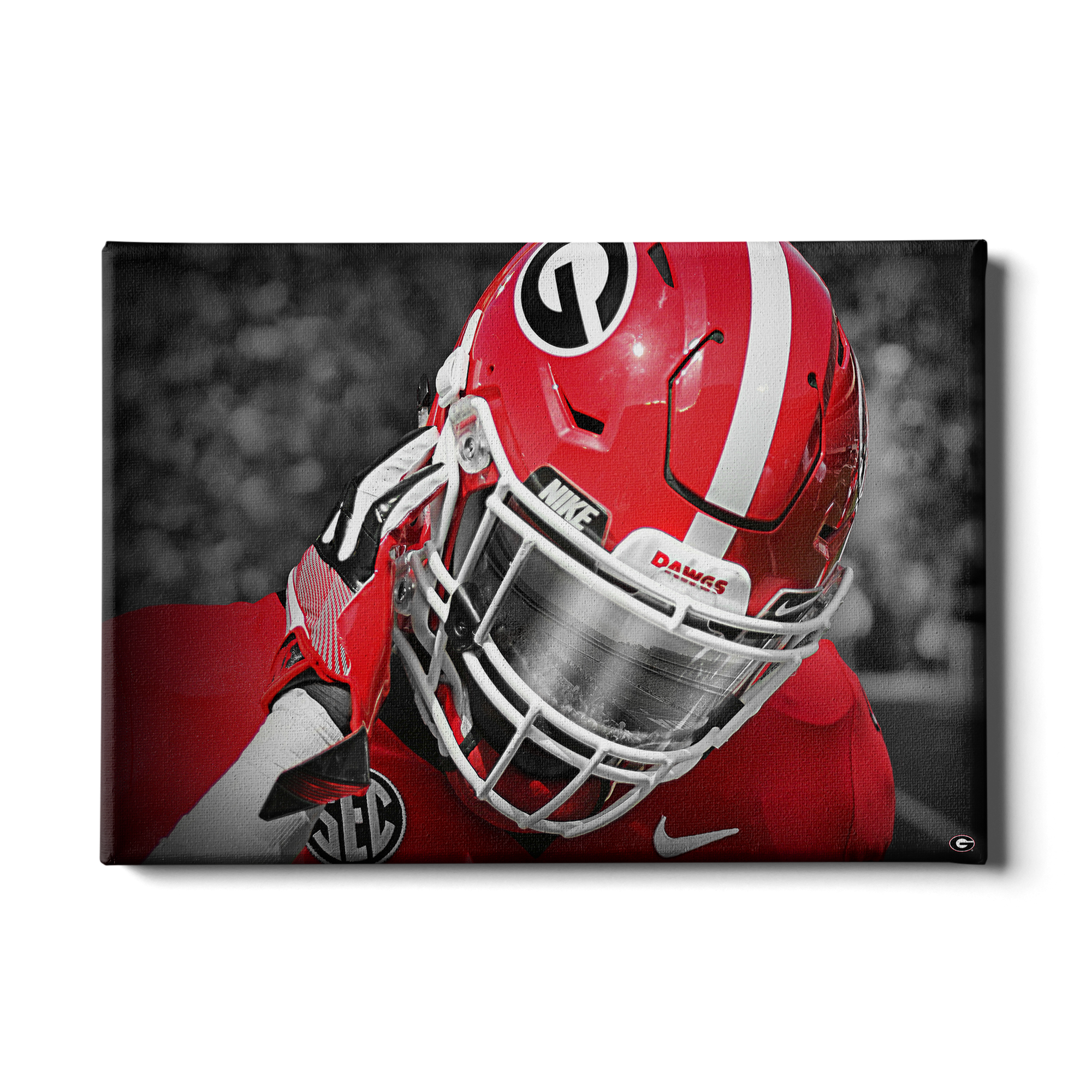 Georgia Bulldogs - Strap It Up UGA - College Wall Art #Canvas