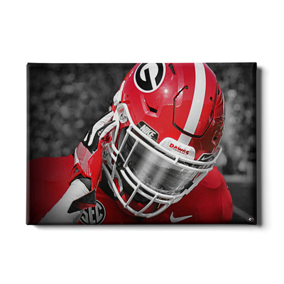 Georgia Bulldogs - Strap It Up UGA - College Wall Art #Canvas