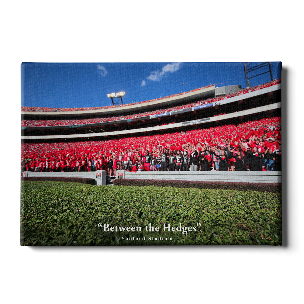 Georgia Bulldogs - Between the Hedges UGA - College Wall  Art #Canvas