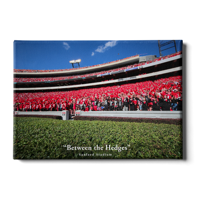 Georgia Bulldogs - Between the Hedges UGA - College Wall  Art #Canvas