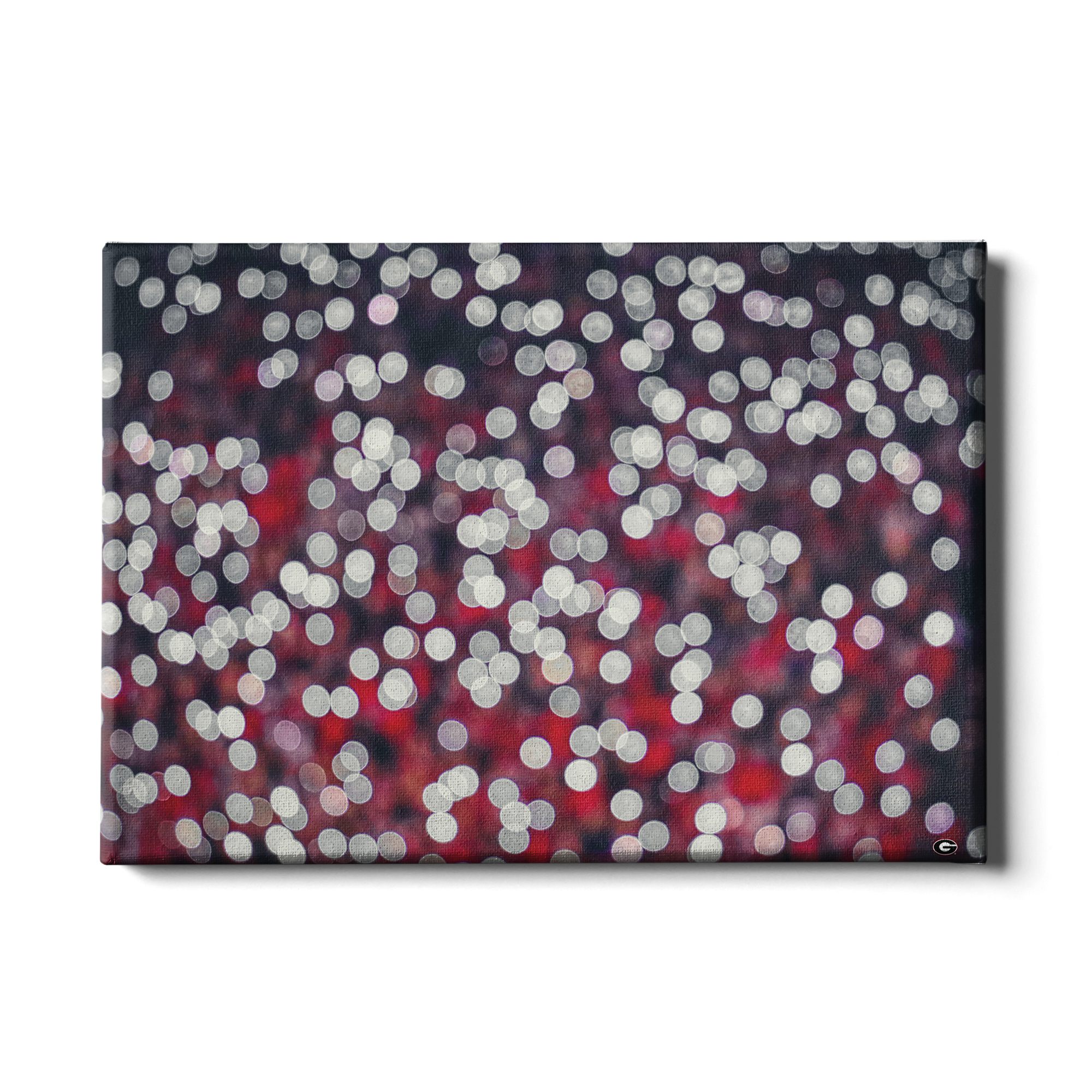 Georgia Bulldogs - Sanford Lights - College Wall Art #Canvas