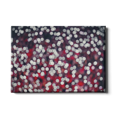 Georgia Bulldogs - Sanford Lights - College Wall Art #Canvas