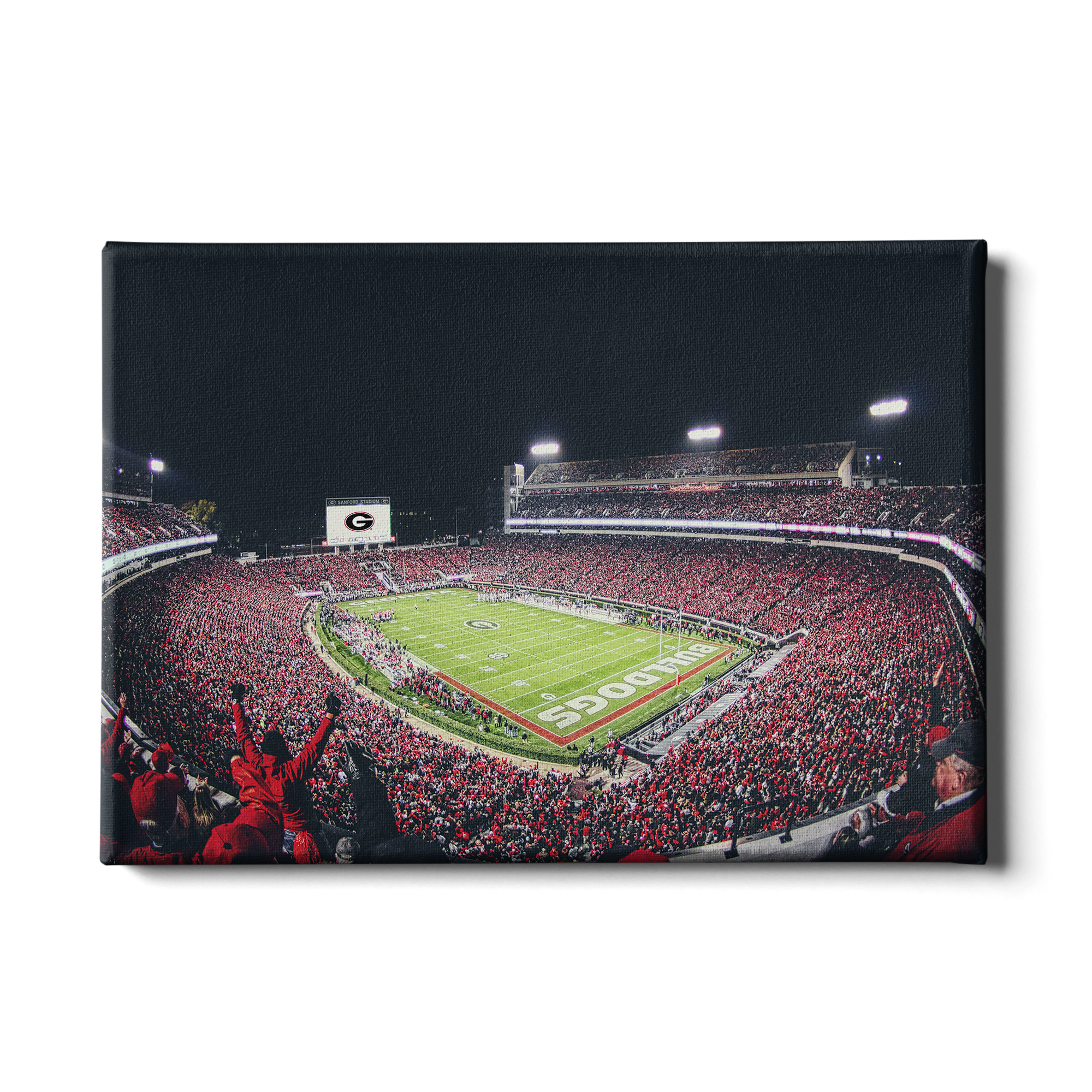 Georgia Bulldogs - Sanford Stadium II - College Wall Art #Canvas