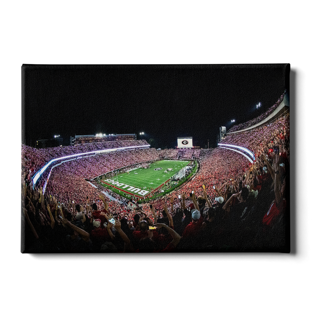 Georgia Bulldogs - Aerial Sanford Lights - College Wall Art #Canvas