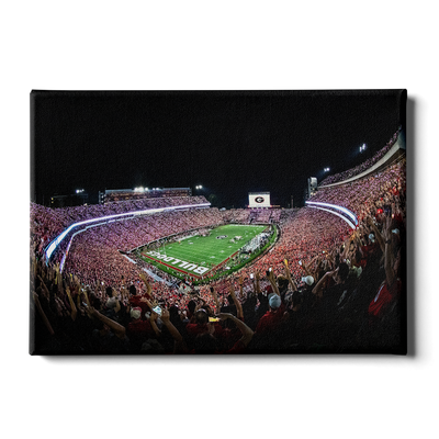 Georgia Bulldogs - Aerial Sanford Lights - College Wall Art #Canvas