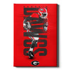 Georgia Bulldogs - Georgia Dawgs -College Wall Art #Canvas