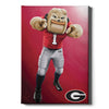 Georgia Bulldogs - Hairy Dawg Portrait - College Wall Art #Canvas