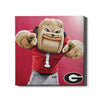 Georgia Bulldogs - Hairy Dawg Tile - College Wall Art #Canvas