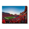 Georgia Bulldogs - Gooooo Georgia - College Wall Art #Canvas