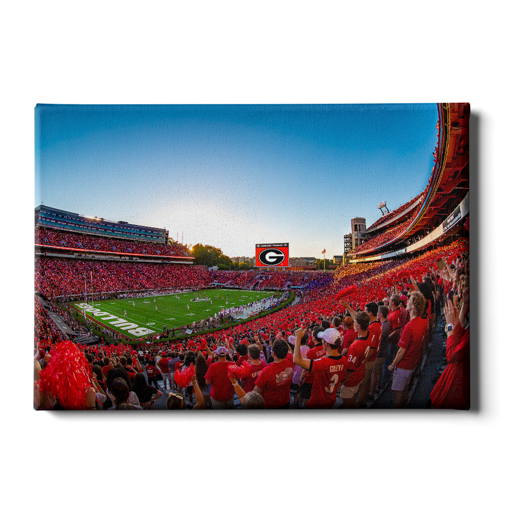 Georgia Bulldogs - Gooooo Georgia - College Wall Art #Canvas