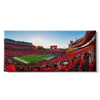 Georgia Bulldogs - Gooooo Georgia Panoramic - College Wall Art #Canvas