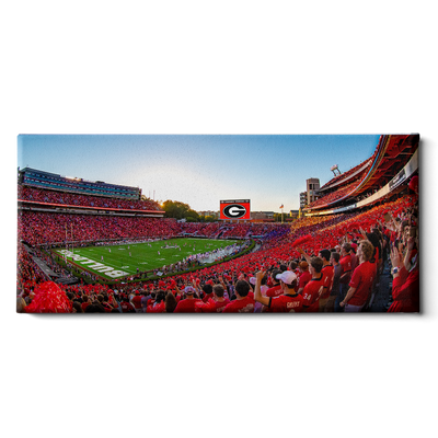 Georgia Bulldogs - Gooooo Georgia Panoramic - College Wall Art #Canvas