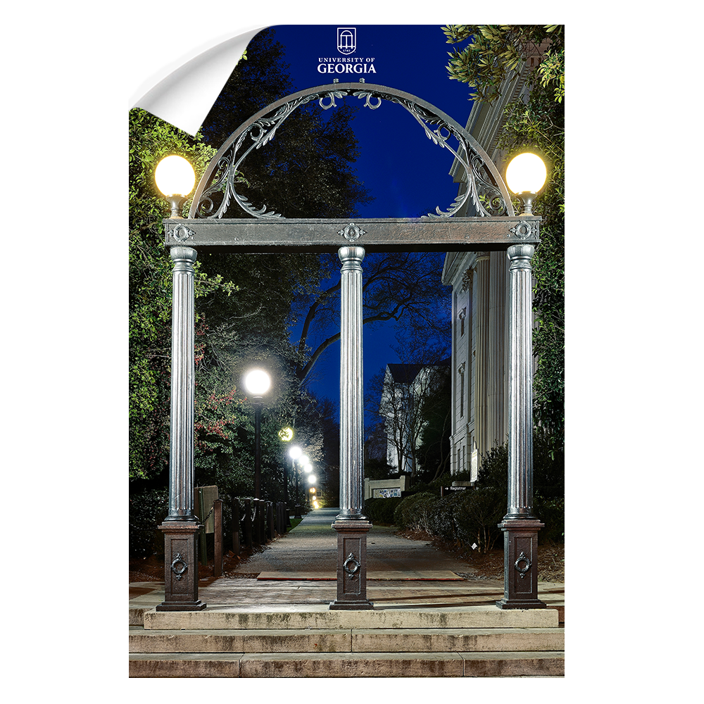 Georgia Bulldogs - Through the Arch - College Wall Art #Canvas