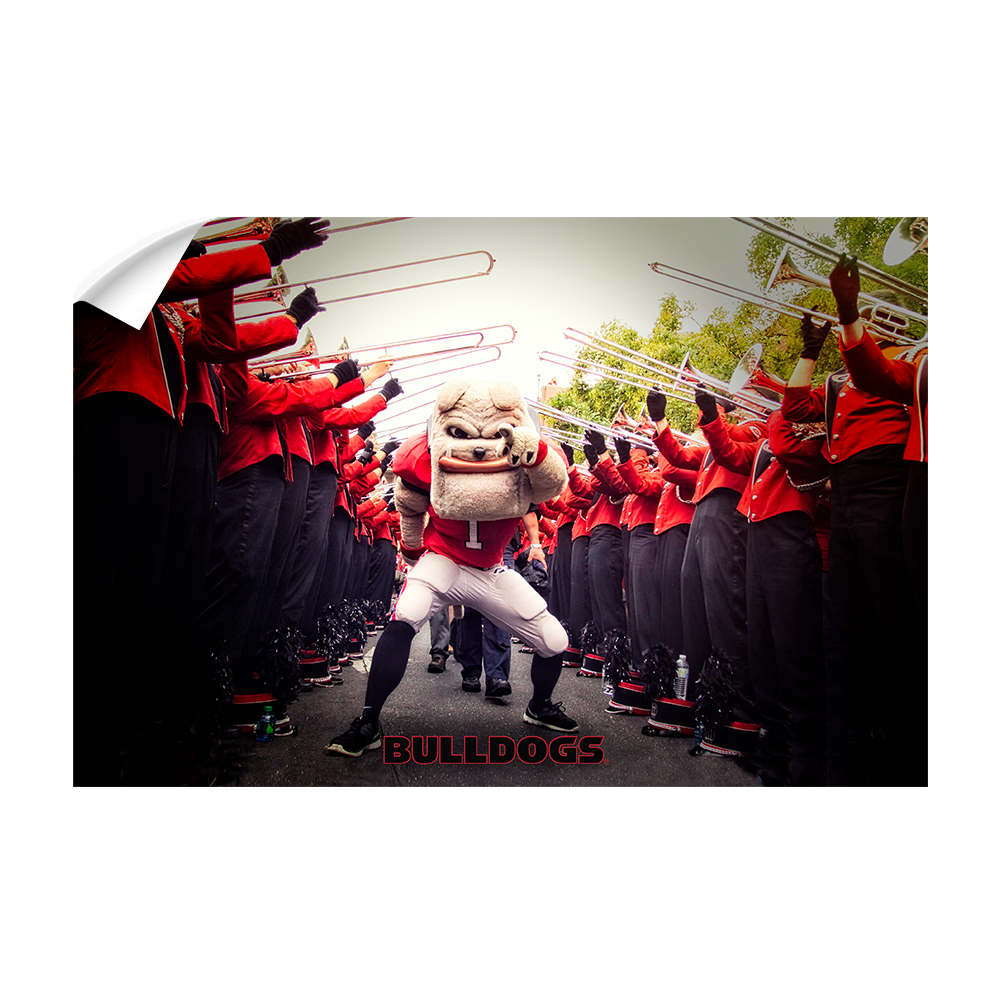 Georgia Bulldogs - Dawg Walk - College Wall Art #Canvas