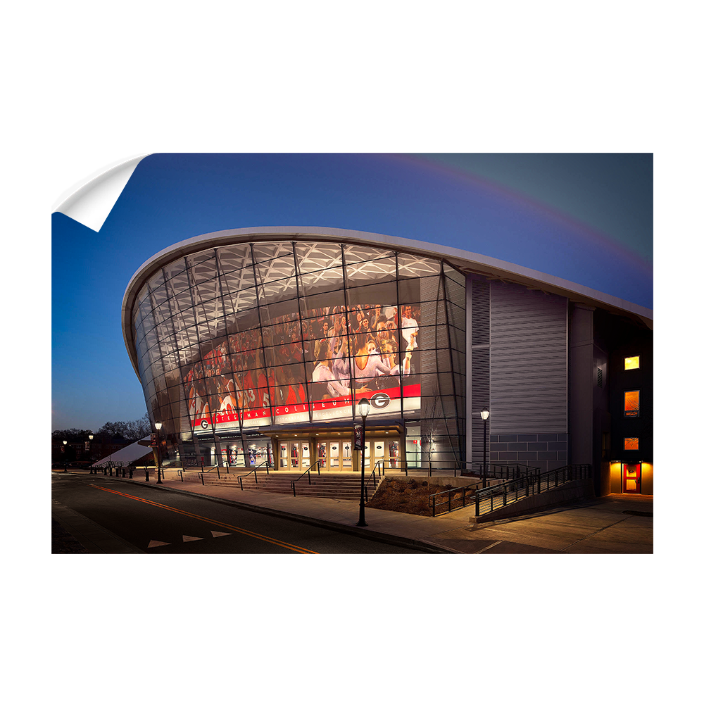 Georgia Bulldogs - Stegeman Coliseum - College Wall Art #Canvas