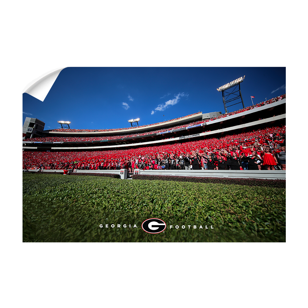 Georgia Bulldogs - Georgia Football - College Wall Art #Canvas