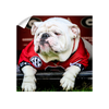 Georgia Bulldogs - Uga Chillin - College Wall Art #Wall Decal