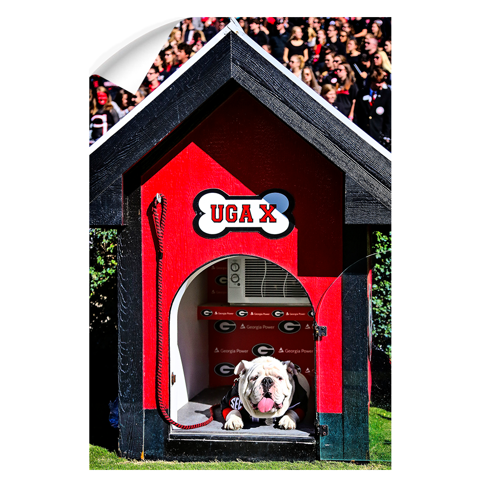 Georgia Bulldogs - Uga X in the House - College Wall Art #Canvas