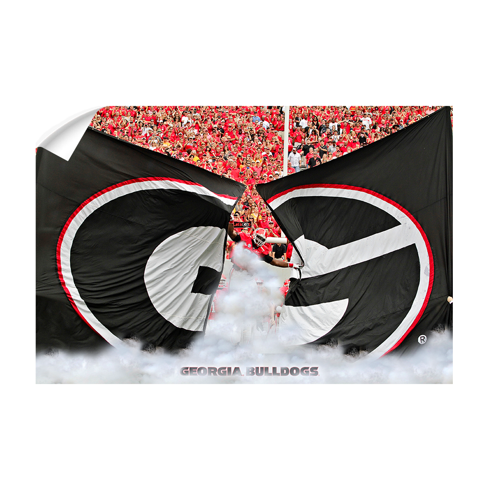 Georgia Bulldogs - Grand G Entrance - College Wall Art #Canvas