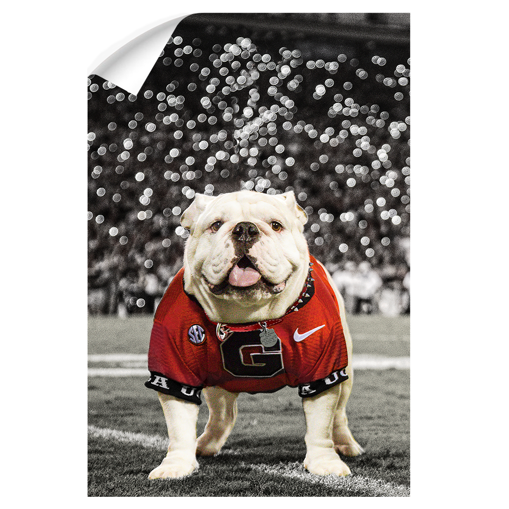 Georgia Bulldogs - Uga Under the Lights - College Wall Art #Wall Decal