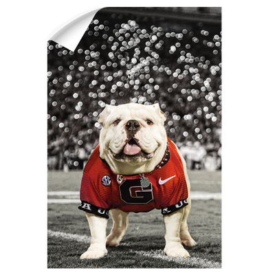 Georgia Bulldogs - Uga Under the Lights - College Wall Art #Wall Decal