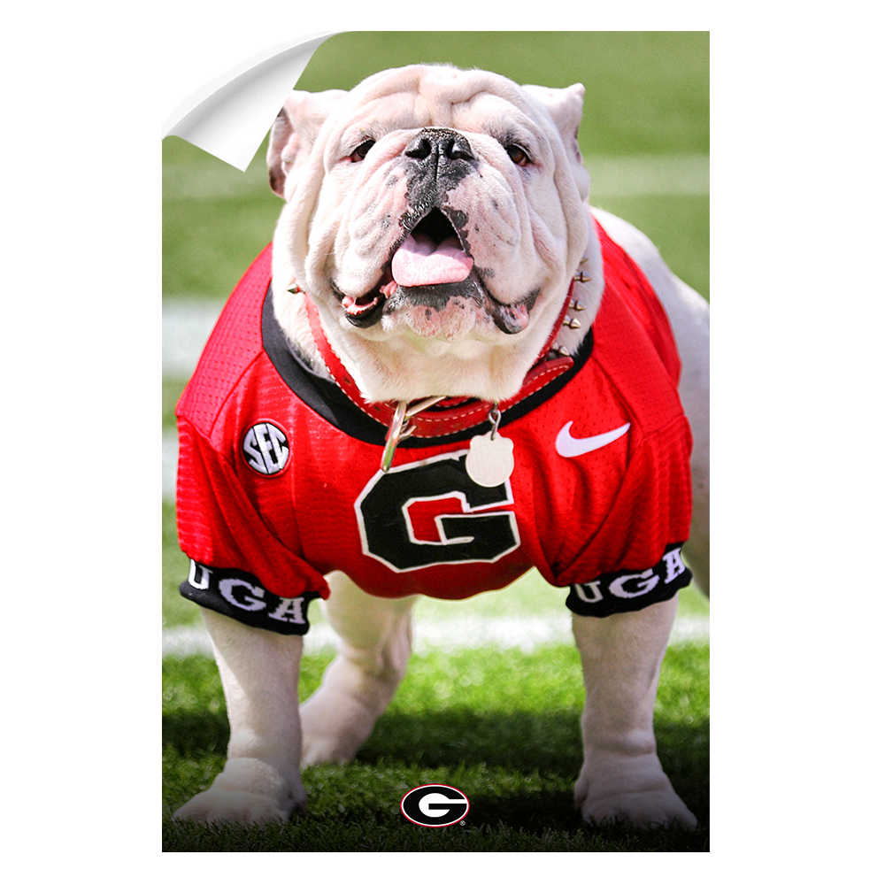 Georgia Bulldogs - Uga Poised II - College Wall Art #Canvas