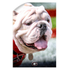 Georgia Bulldogs - Uga Portrait - College Wall Art #Wall Decal