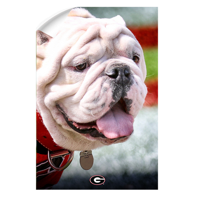 Georgia Bulldogs - Uga Portrait - College Wall Art #Wall Decal