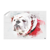 Georgia Bulldogs - Uga Painting - College Wall Art #Wall Decal