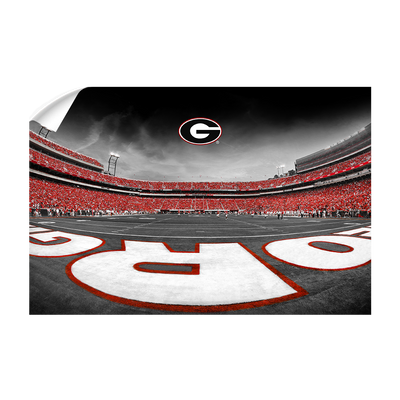 Georgia Bulldogs - Sanford Stadium End Zone Duotone - College Wall Art #Wall Decal