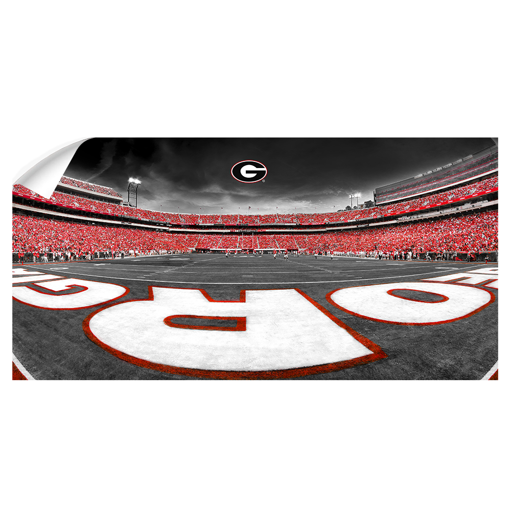 Georgia Bulldogs - Sanford Stadium End Zone Duotone Panoramic - College Wall Art #Canvas