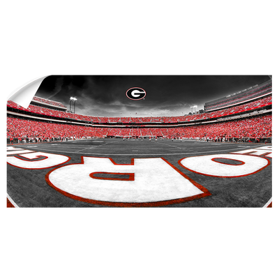 Georgia Bulldogs - Sanford Stadium End Zone Duotone Panoramic - College Wall Art #Wall Decal