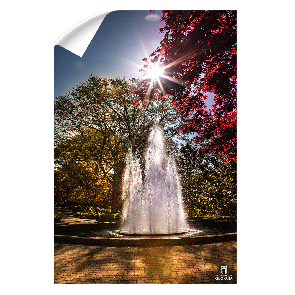 Georgia Bulldogs - The Fountain - College Wall Art #Canvas