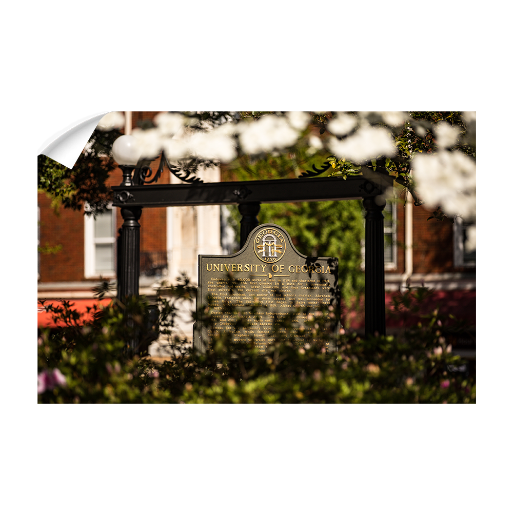 Georgia Bulldogs - Looking Through the Arch - College Wall Art #Canvas