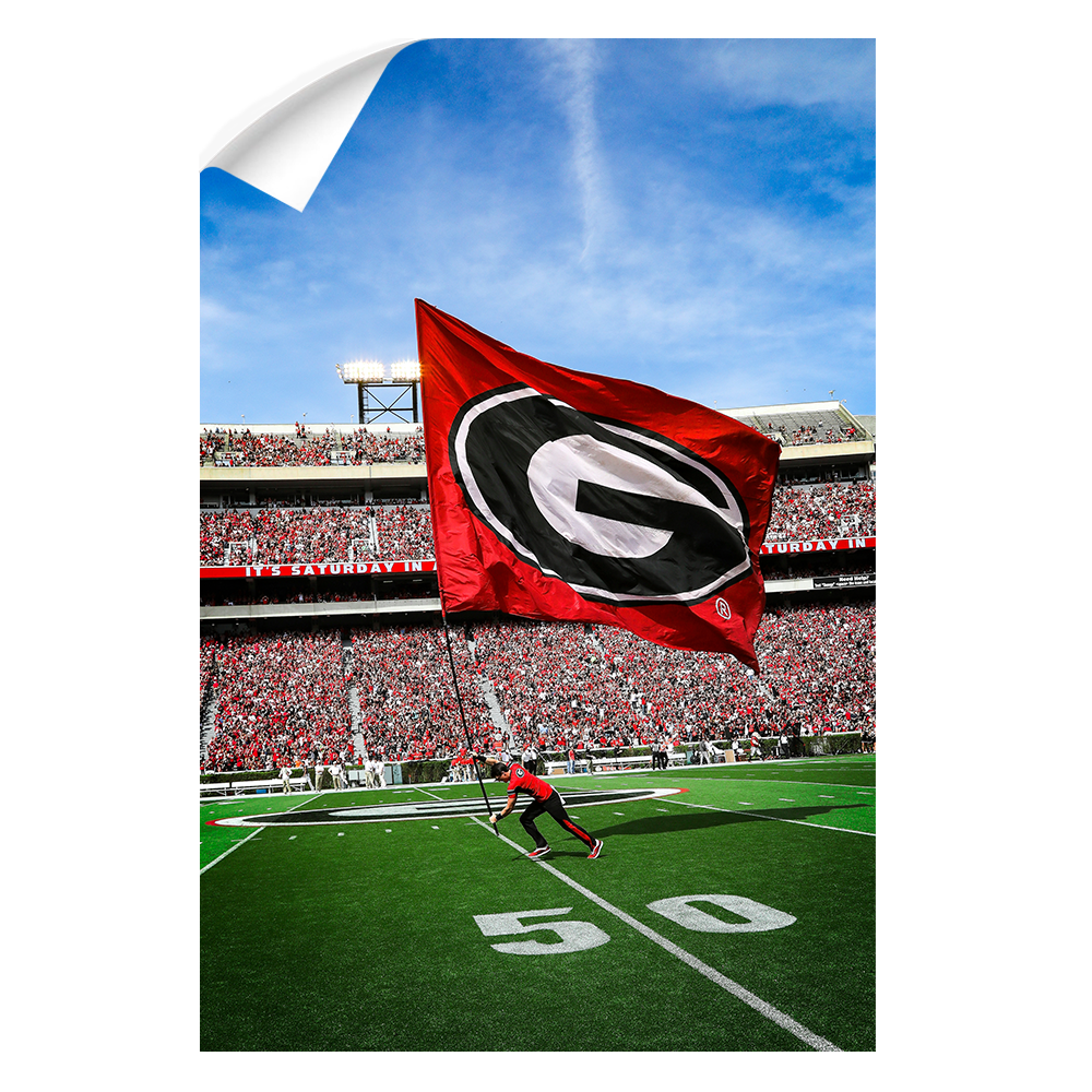 Georgia Bulldogs - The G Flag - College Wall Art #Canvas