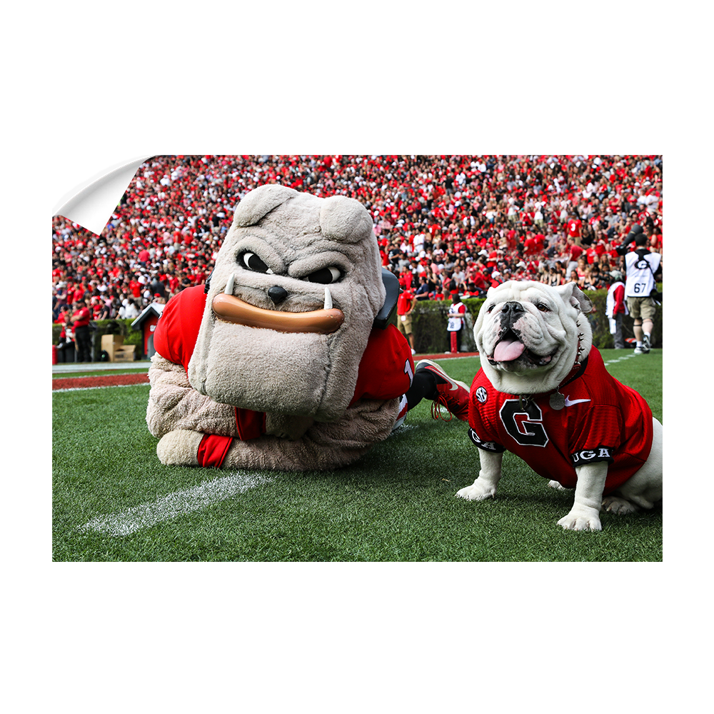 Georgia Bulldogs - Hairy and Uga Game Ready - College Wall Art #Wall Decal