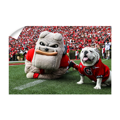 Georgia Bulldogs - Hairy and Uga Game Ready - College Wall Art #Wall Decal