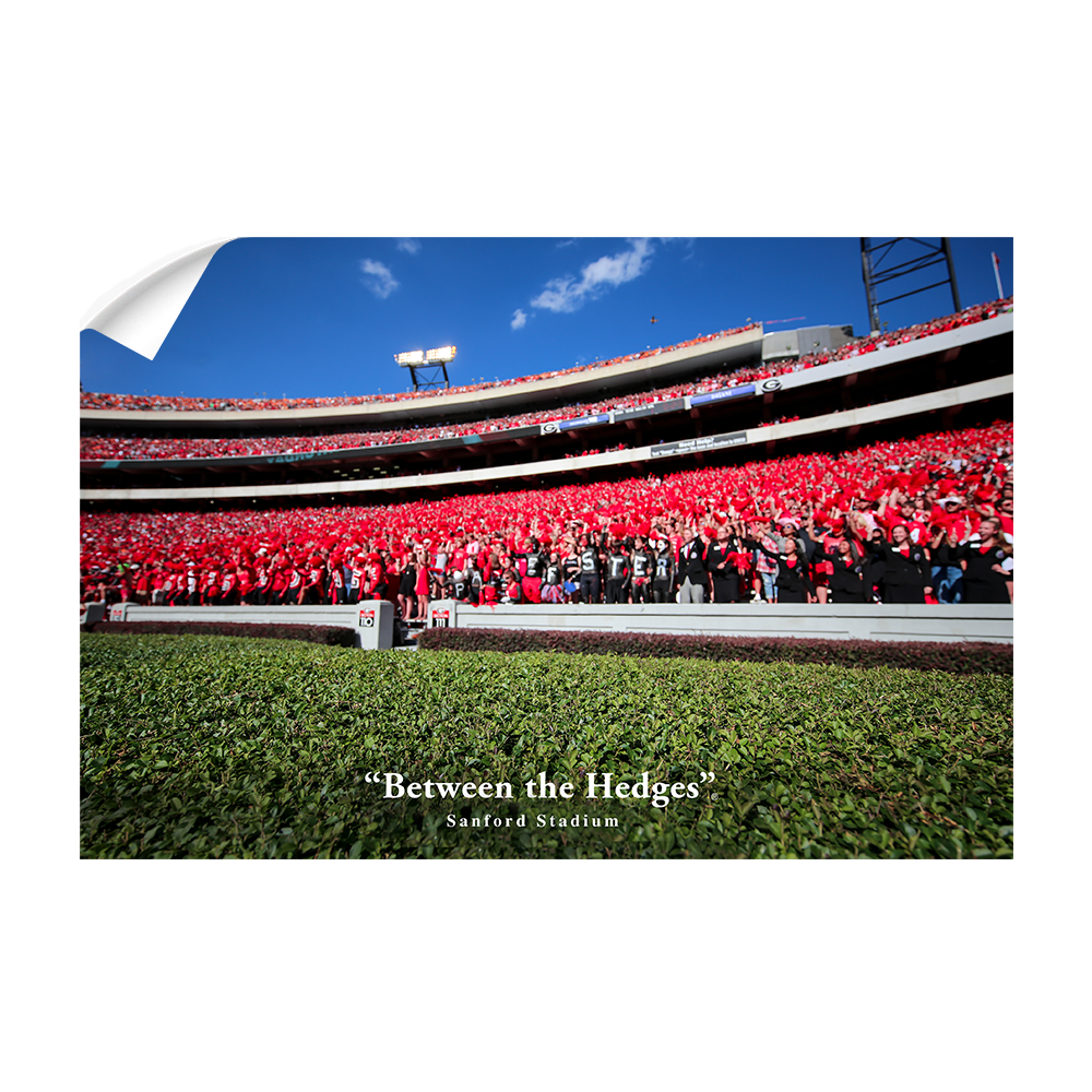 Georgia Bulldogs - Between the Hedges UGA - College Wall  Art #Canvas