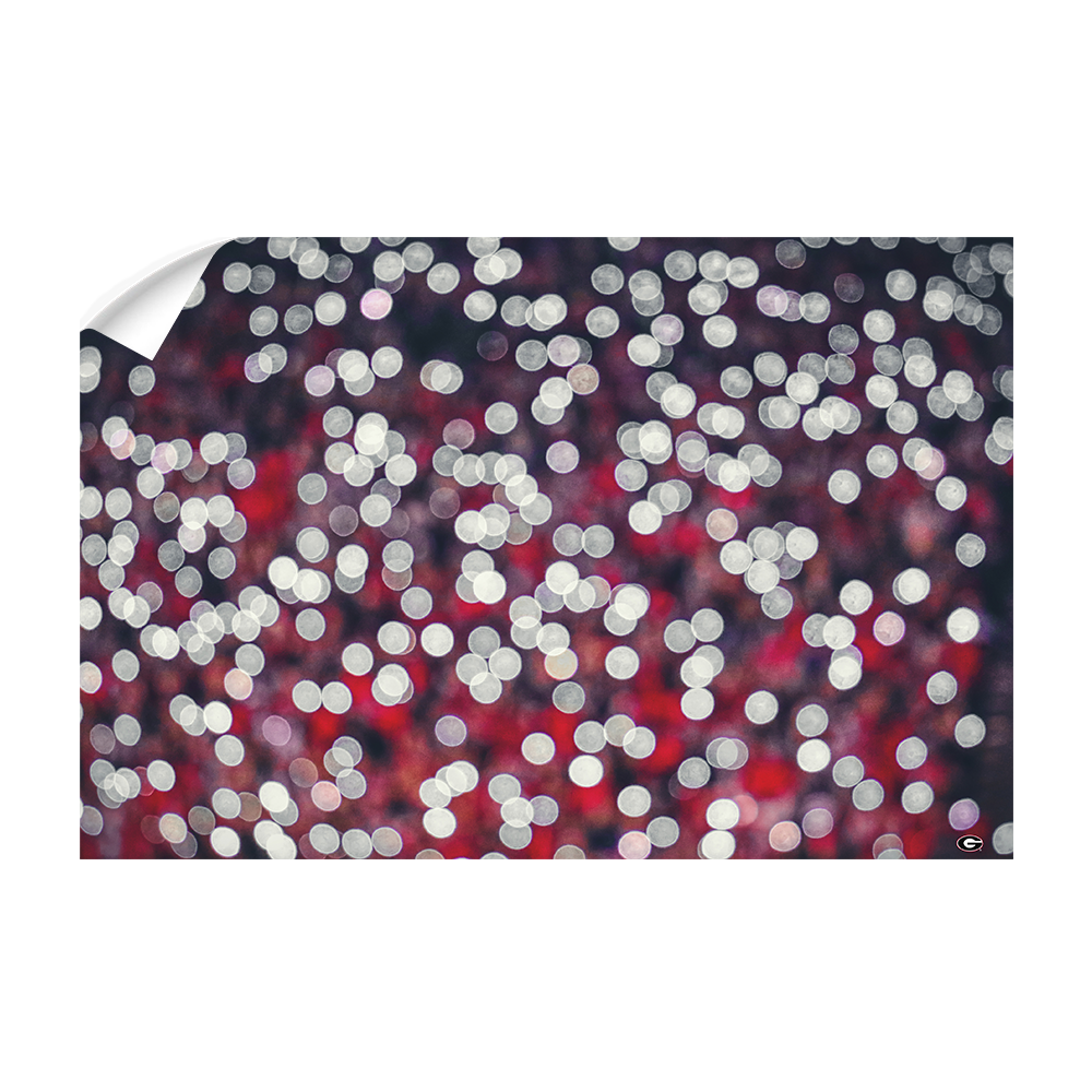 Georgia Bulldogs - Sanford Lights - College Wall Art #Canvas