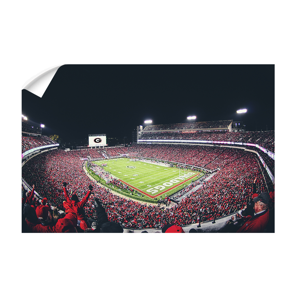 Georgia Bulldogs - Sanford Stadium II - College Wall Art #Canvas