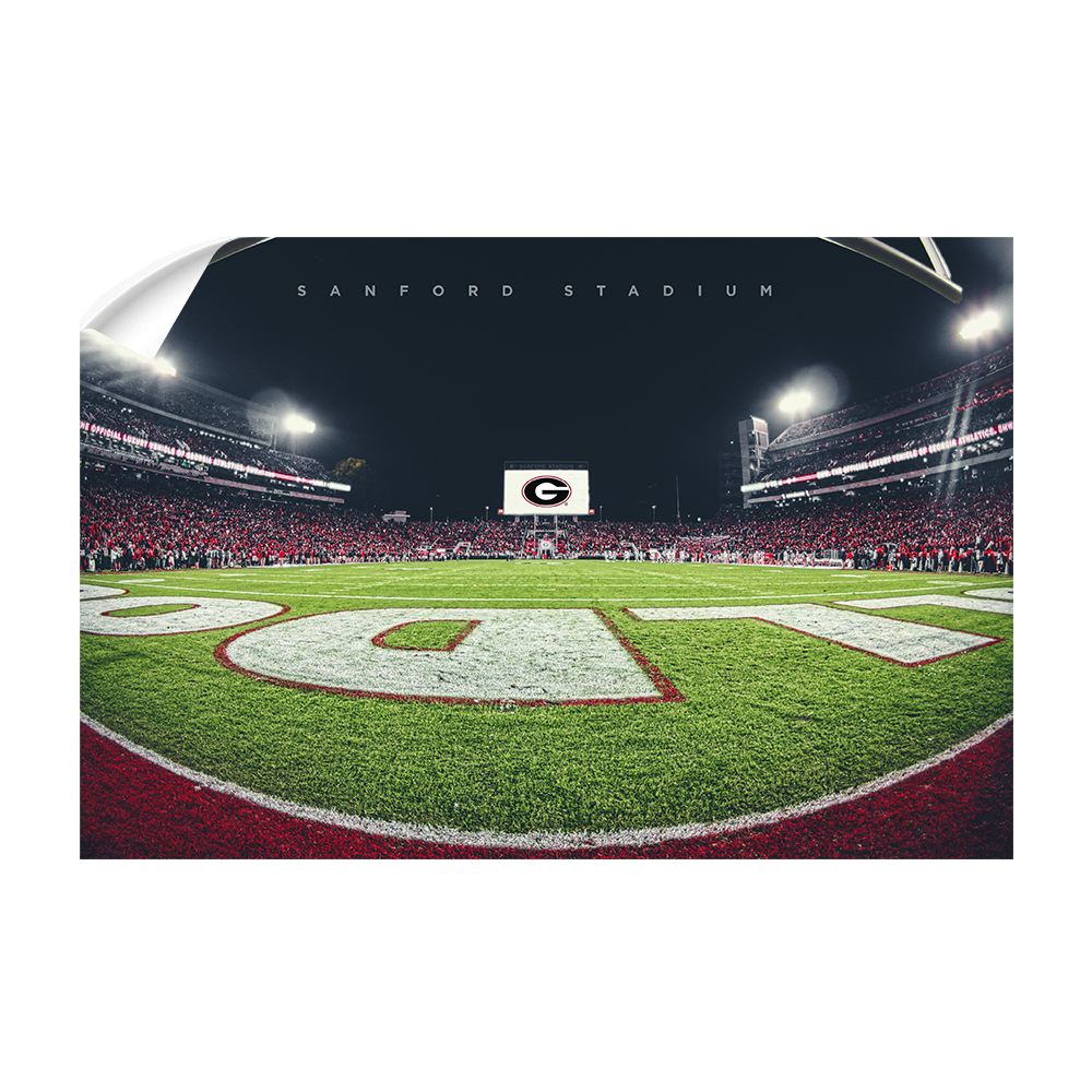 Georgia Bulldogs - Sanford Stadium End Zone - College Wall Art #Wall Decal