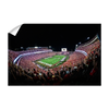 Georgia Bulldogs - Aerial Sanford Lights - College Wall Art #Wall Decal