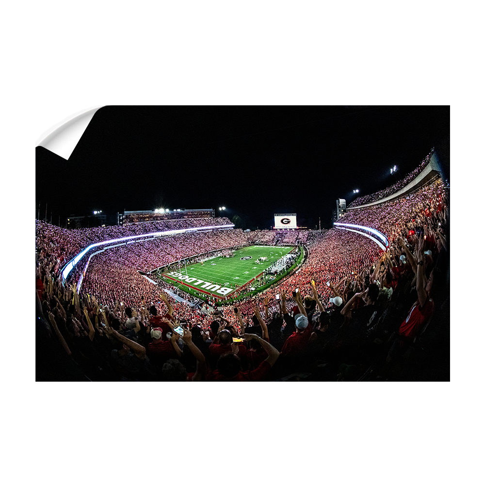 Georgia Bulldogs - Aerial Sanford Lights - College Wall Art #Canvas