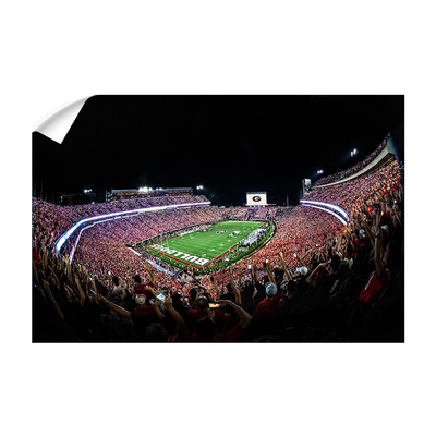 Georgia Bulldogs - Aerial Sanford Lights - College Wall Art #Wall Decal