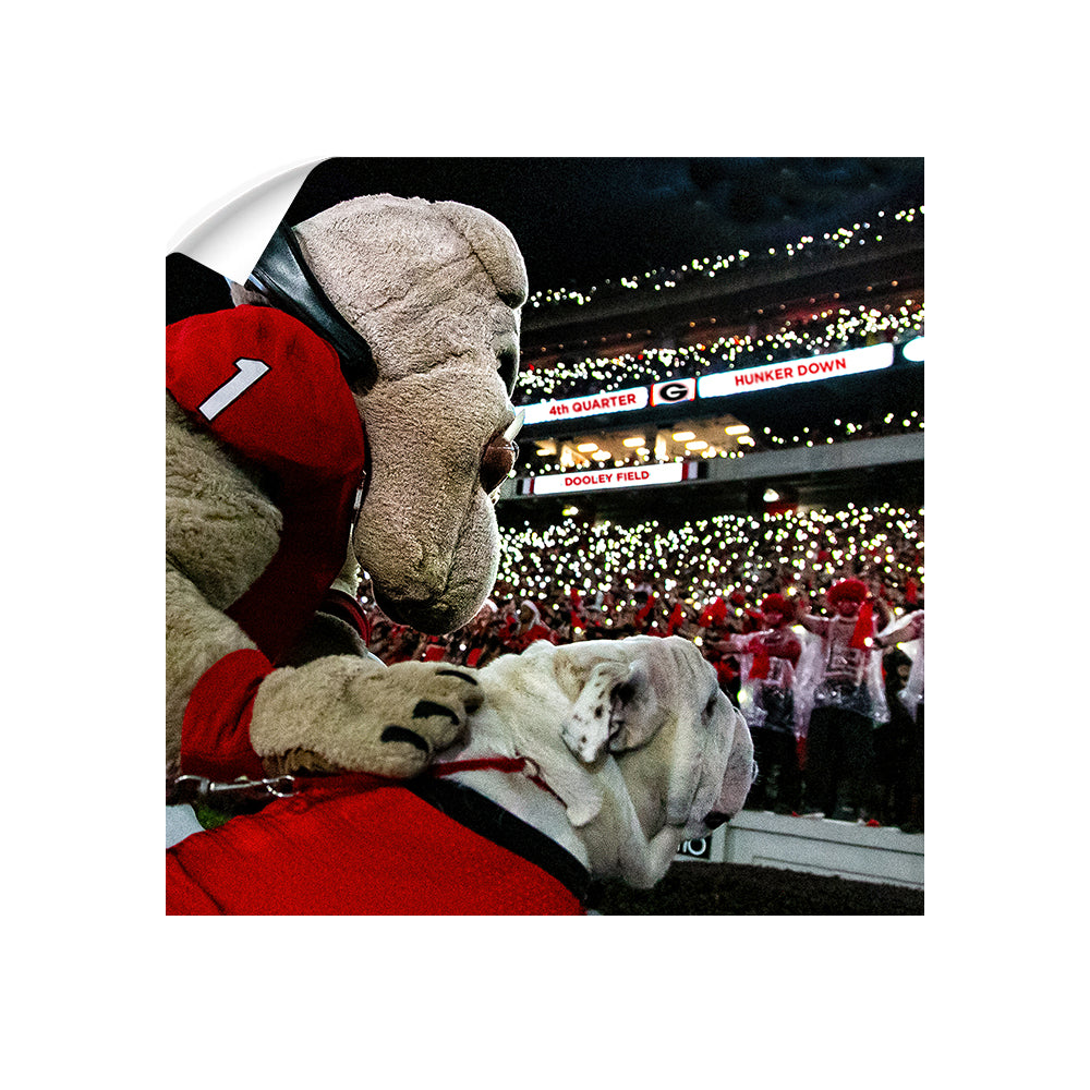 Georgia Bulldogs - It's 4th Quarter - College Wall Art #Canvas