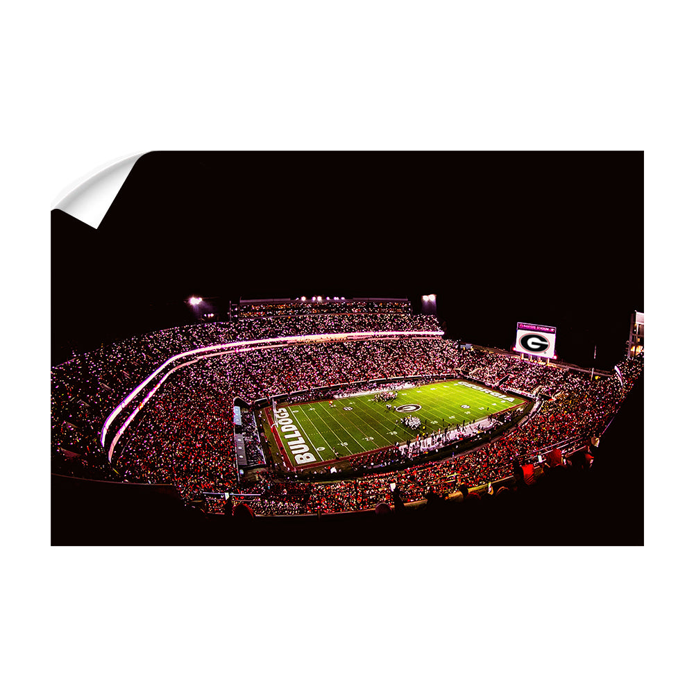 Georgia Bulldogs - Georgia Bulldogs Sanford Lights - College Wall Art #Canvas