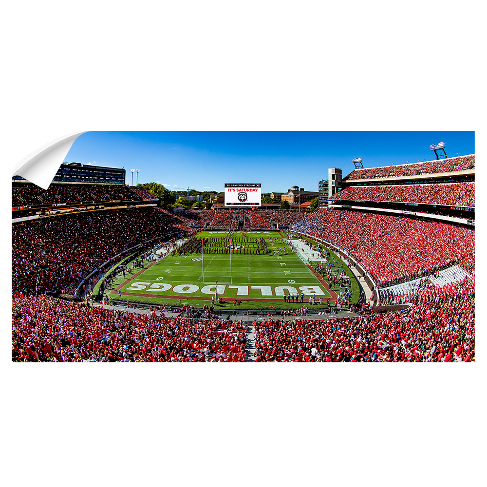 Georgia Bulldogs - It's Saturday Panoramic - College Wall Art #Canvas