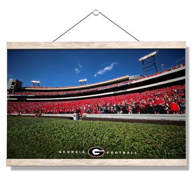 Georgia Bulldogs - Georgia Football - College Wall Art #Hanging Canvas