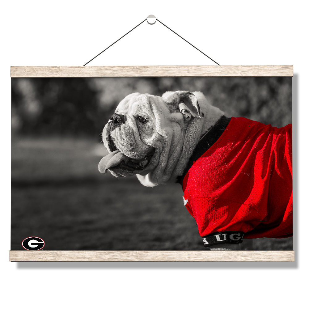 Georgia Bulldogs - Uga Poised - College Wall Art #Canvas